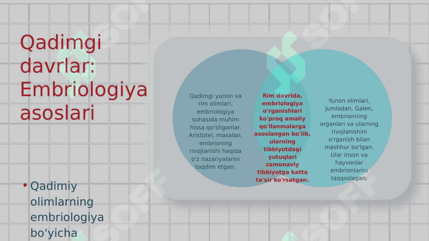 Odam embriologiyasi asoslari 4