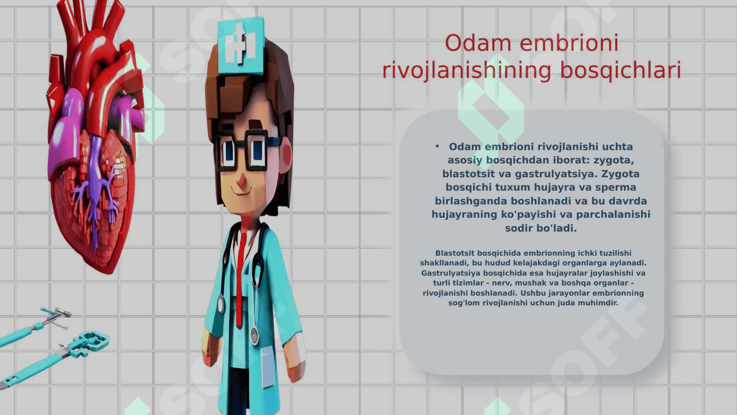 Odam embriologiyasi asoslari 8