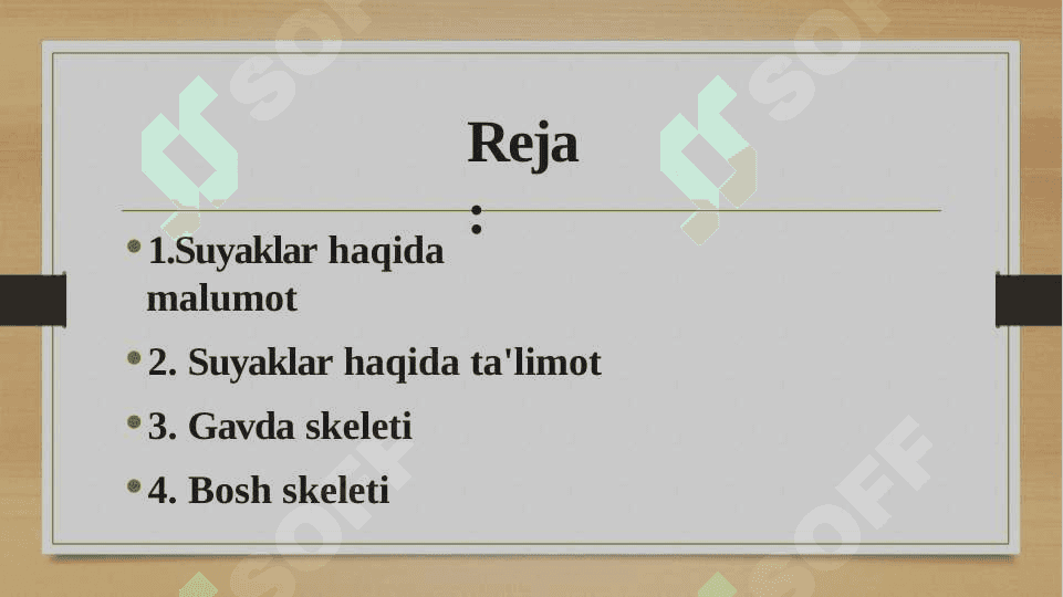 Skelet tizimi filogenezi 2