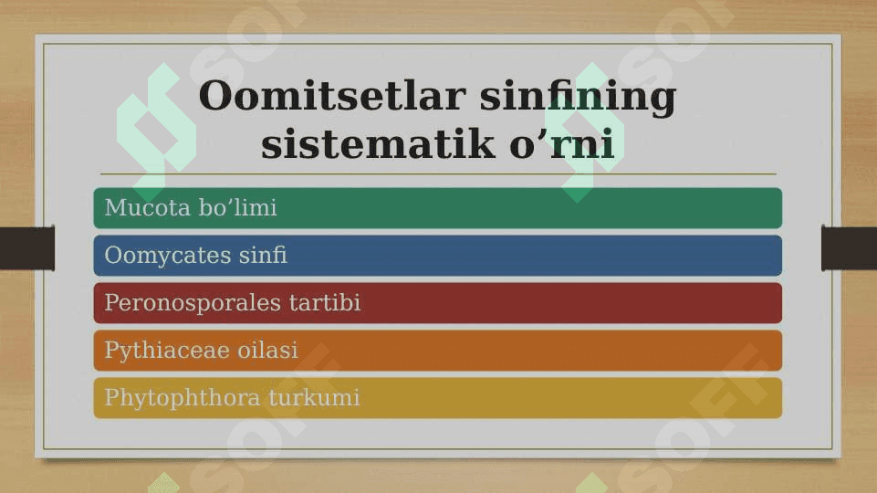 Oomitsetlar sinfi 3
