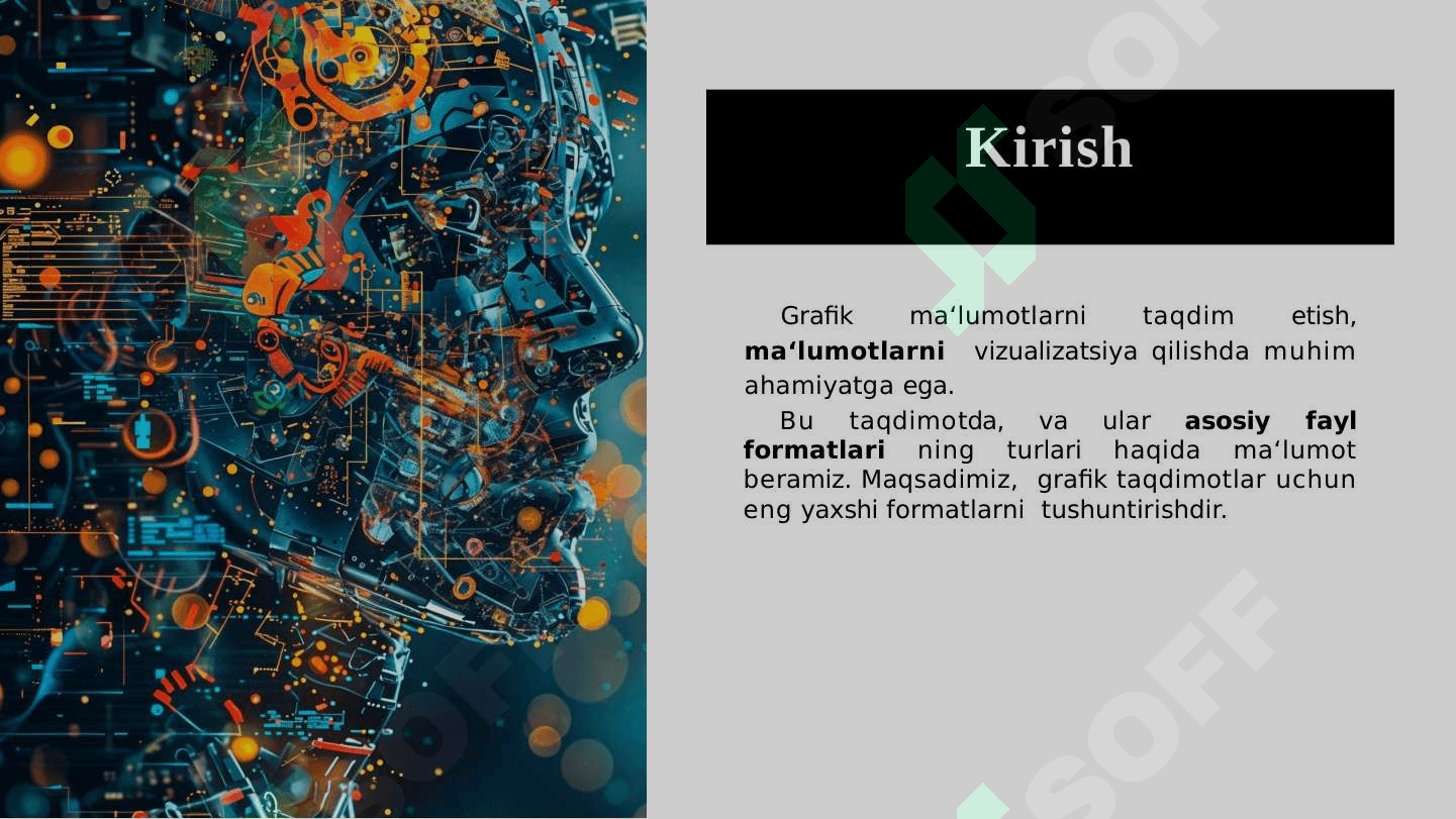 Grafik ma’lumotlarni taqdim etish uchun qo‘llaniladigan asosiy fayl formatlari 2