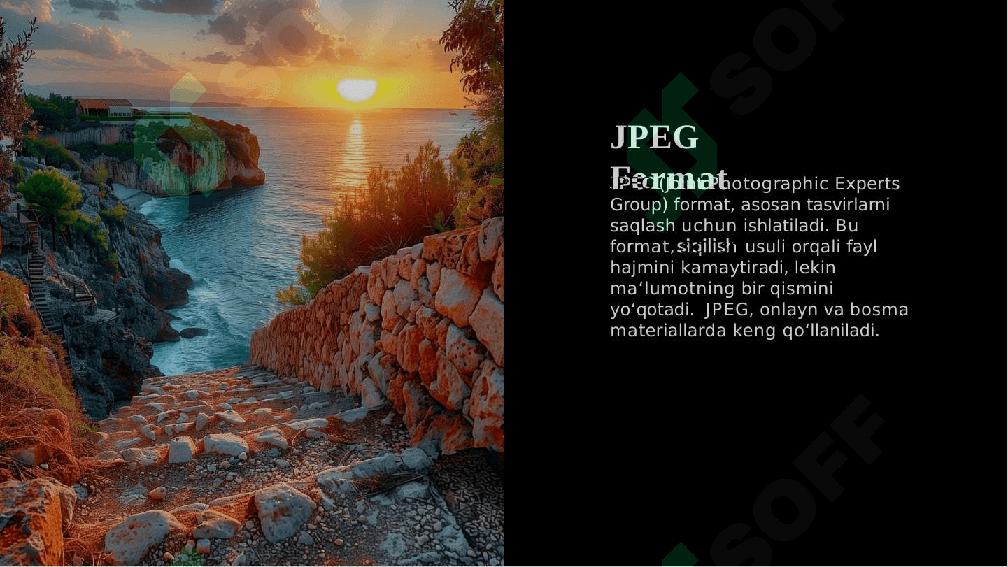 Grafik ma’lumotlarni taqdim etish uchun qo‘llaniladigan asosiy fayl formatlari 4