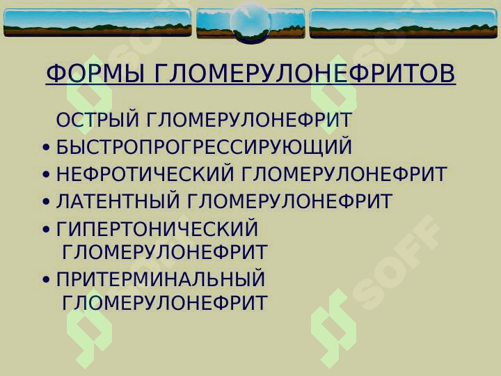 Glomerulonefrit  (rus) ppt 4