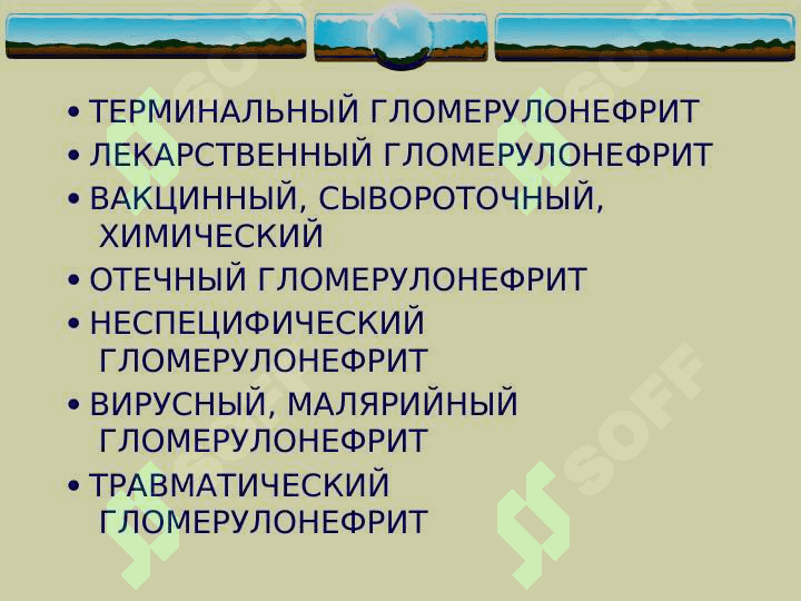 Glomerulonefrit  (rus) ppt 5