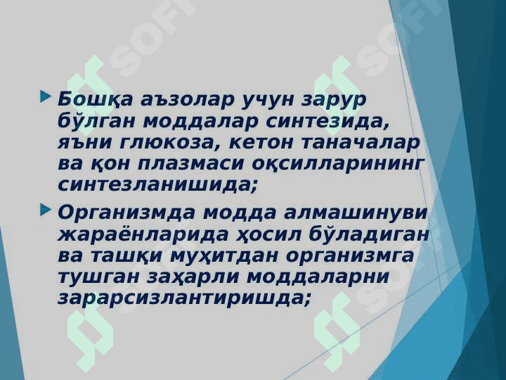 Jigar biokimyosi ppt 8