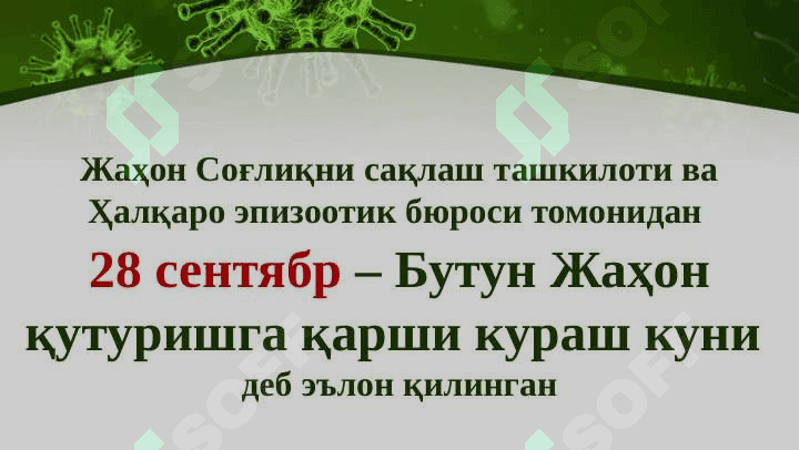 Quturish kasalligi ppt 4