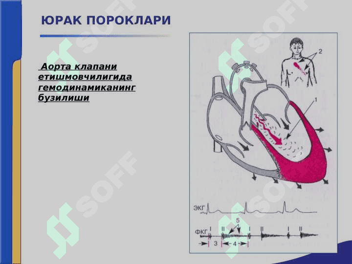 Yurak paroklari ppt 3