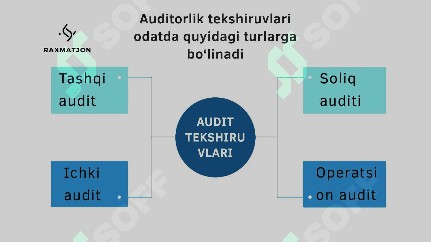 Auditorlik firmalarining professional xizmatlari 4