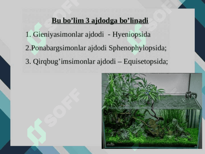 Qirqbo’g’imdoshlar oilasi 4