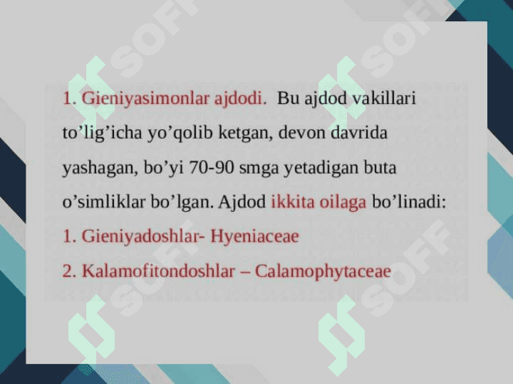 Qirqbo’g’imdoshlar oilasi 5