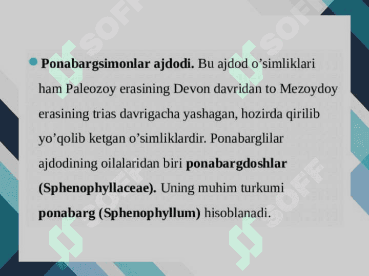 Qirqbo’g’imdoshlar oilasi 7