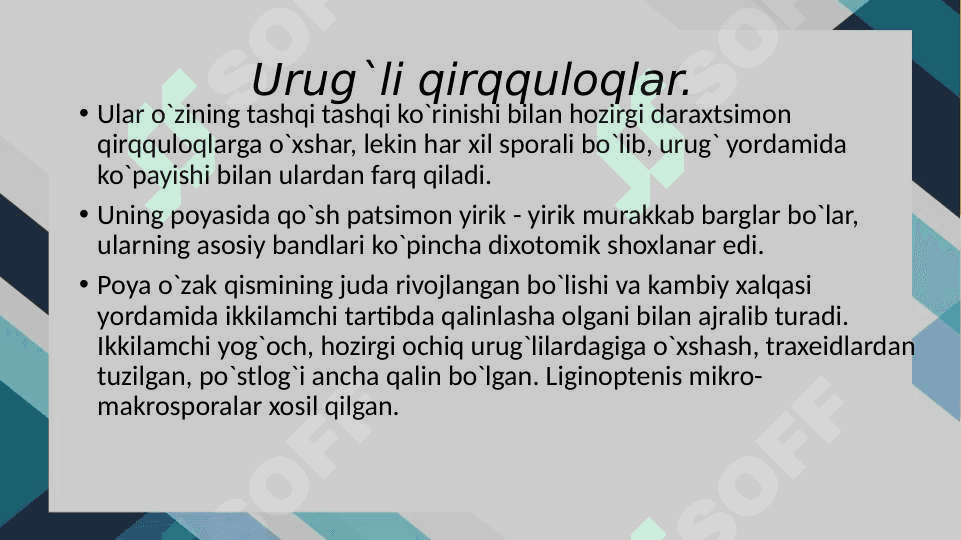 Ochiq urug’lilar 8