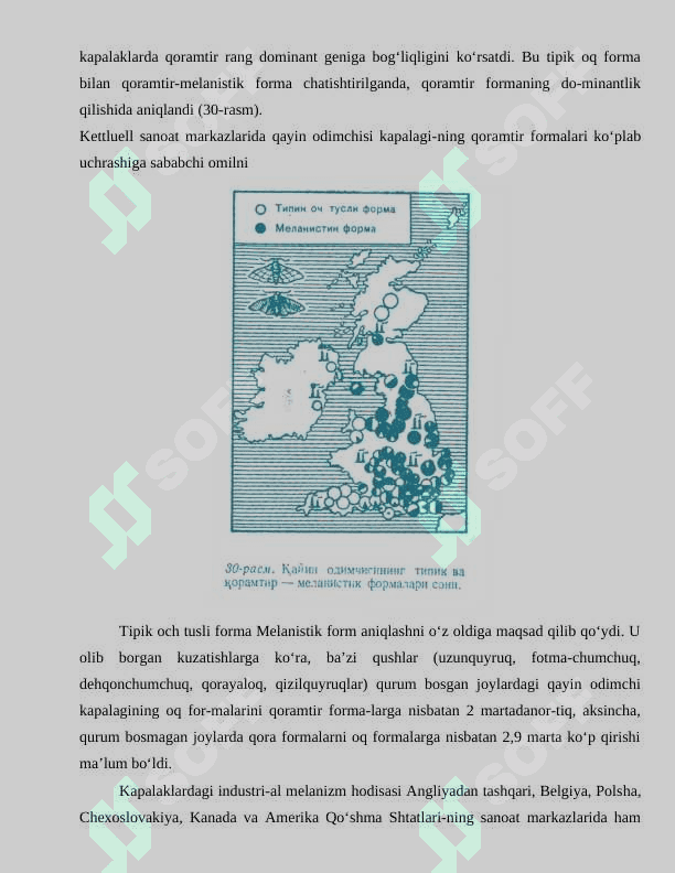EVOLYUSIYANI HARAKATLANTIRUVCHI OMILLAR referat 2