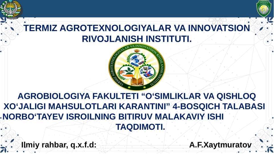 BITIRUV MALAKAVIY ISHI TAQDIMOTI. Pomidor kuyasi