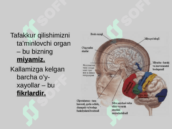 Tafakkur operatsiyasi 6