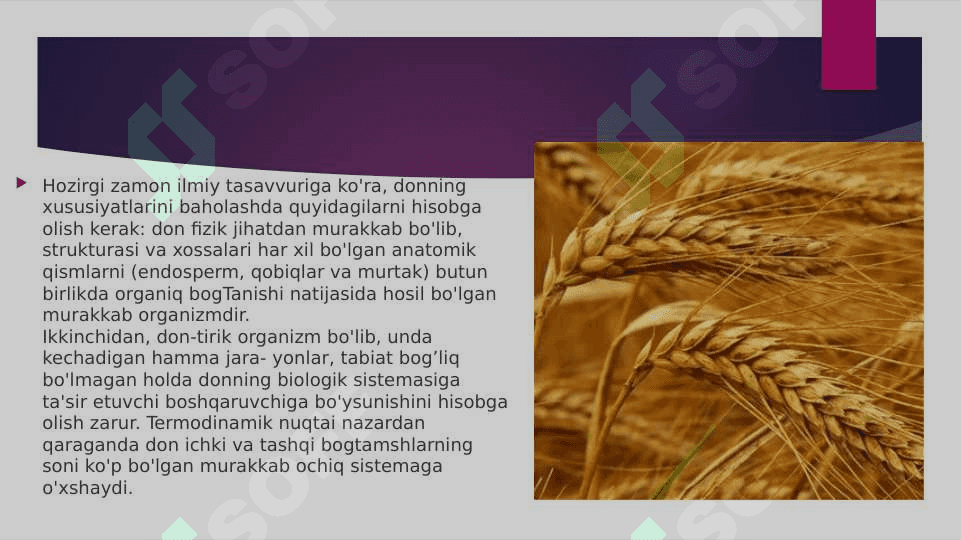 Arpa donining anotomik tuzilishi va ishlab chiqarishdagi ahamiyati 3