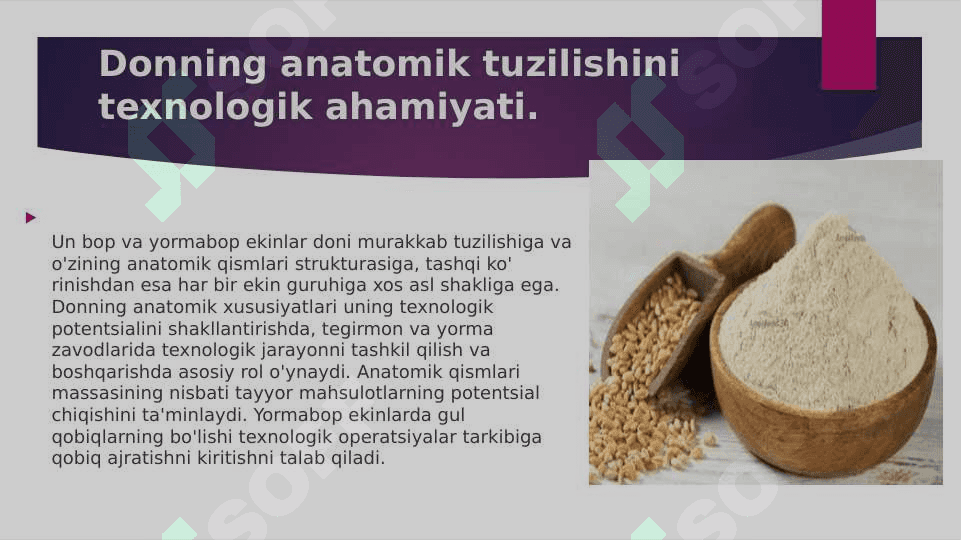 Arpa donining anotomik tuzilishi va ishlab chiqarishdagi ahamiyati 5