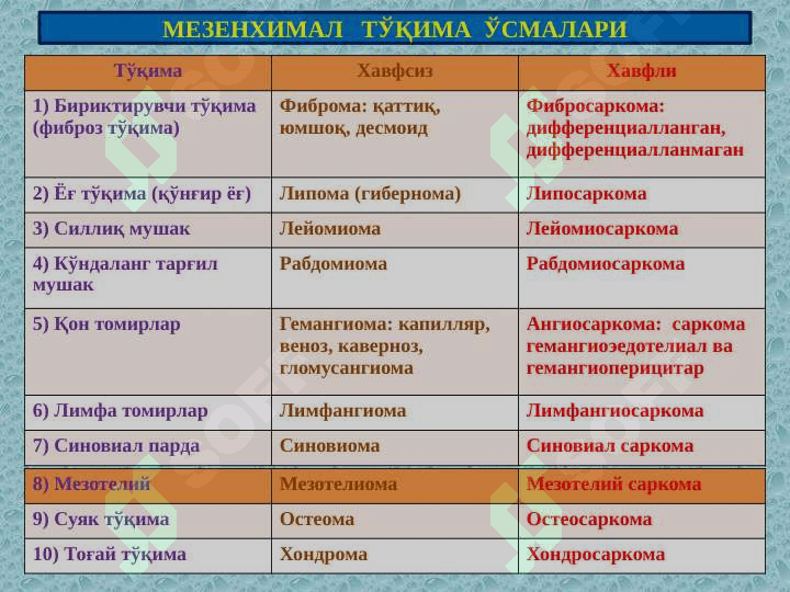 Nerv toqimasi o'smalari 3