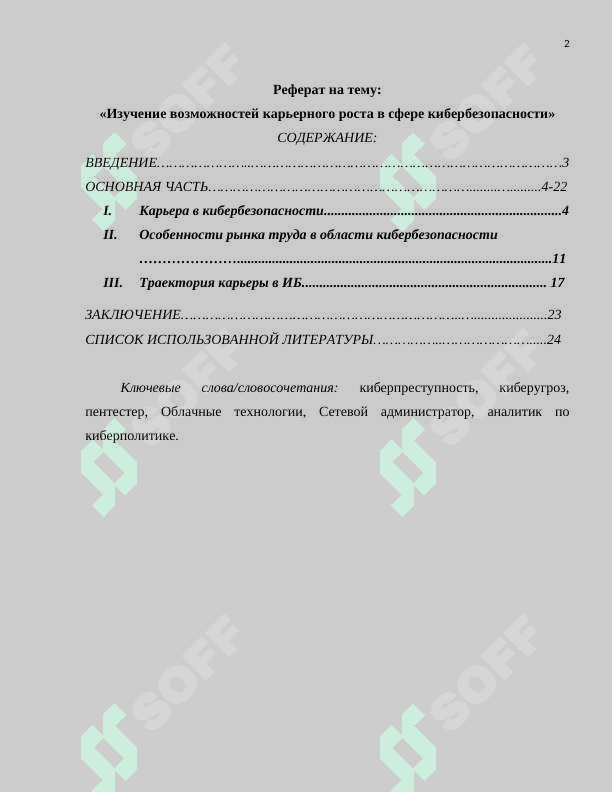 Изучение возможностей карьерного роста в сфере кибербезопасности.docx 2