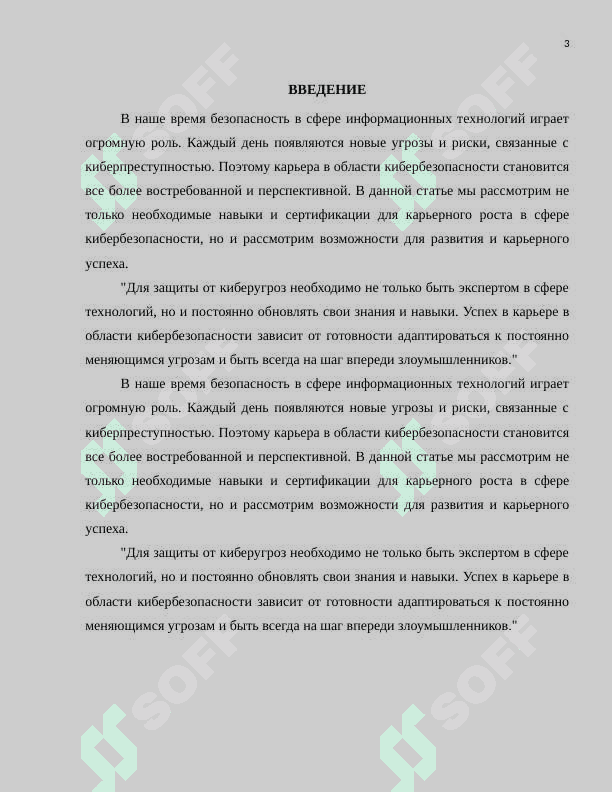 Изучение возможностей карьерного роста в сфере кибербезопасности.docx 3