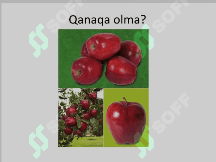 Sifat so‘z turkumi 3