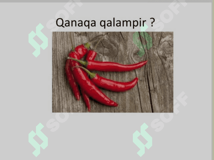 Sifat so‘z turkumi 4