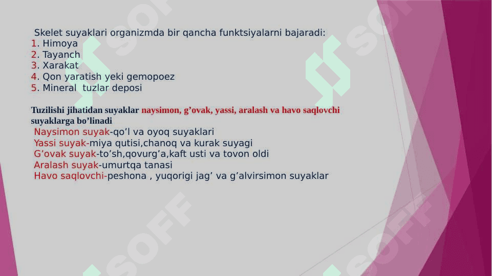 Gavda skeleti suyaklarining tuzilishi va funksiyasi 3