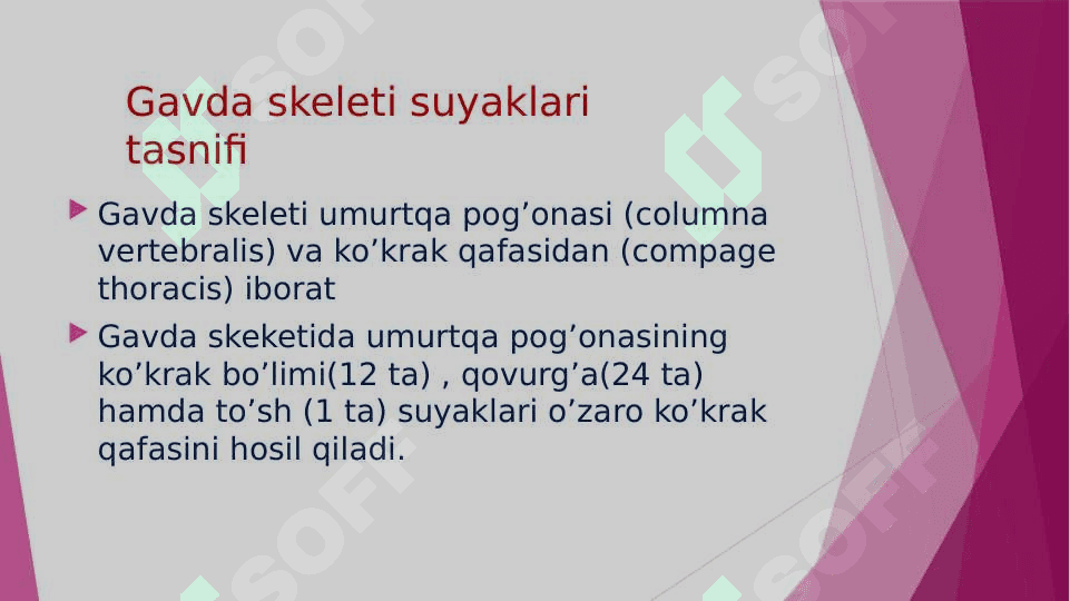 Gavda skeleti suyaklarining tuzilishi va funksiyasi 4