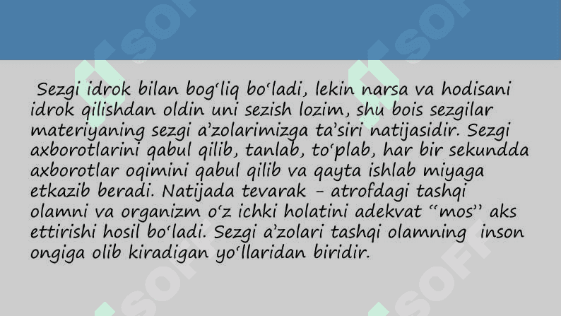 Taqdimot 6