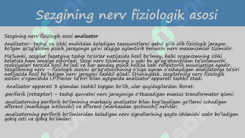 Taqdimot 8