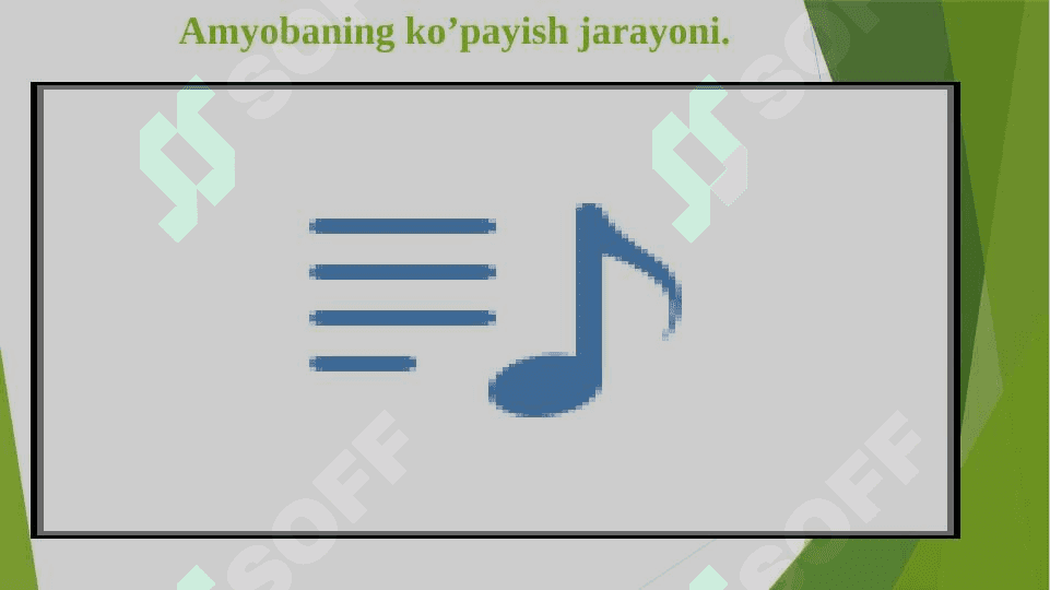 Tirik organizmlarning jinssiz ko'payishi 4