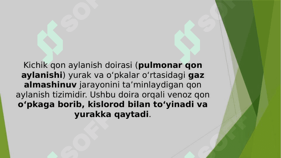 Kichik qon aylanish doirasi tuzilishi va funksiyasi 3