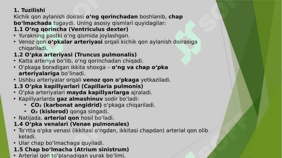 Kichik qon aylanish doirasi tuzilishi va funksiyasi 4
