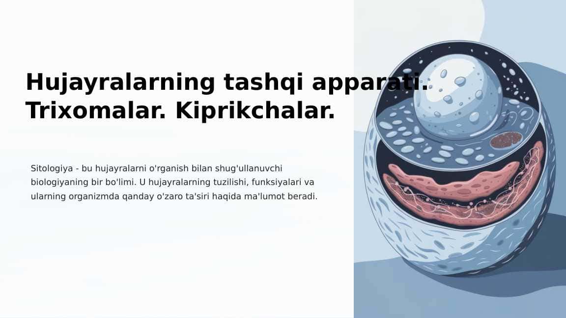 Hujayralarning tashqi apparati. Trixomalar. Kiprikchalar. 1