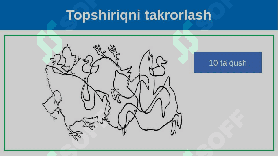 Itning tashqi tuzilishi, skeleti va muskullari 3