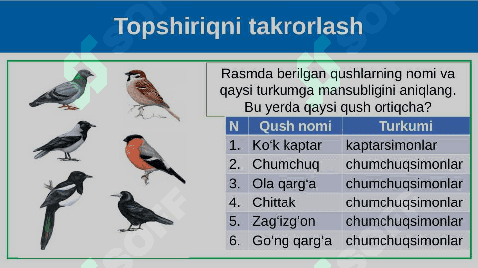 Itning tashqi tuzilishi, skeleti va muskullari 4
