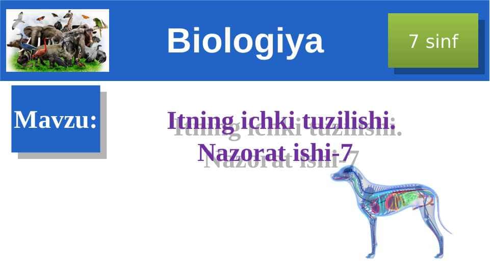 Itning ichki tuzilishi 1