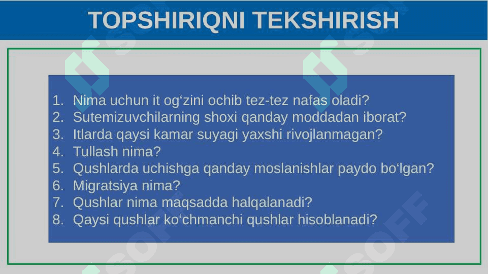 Itning ichki tuzilishi 3