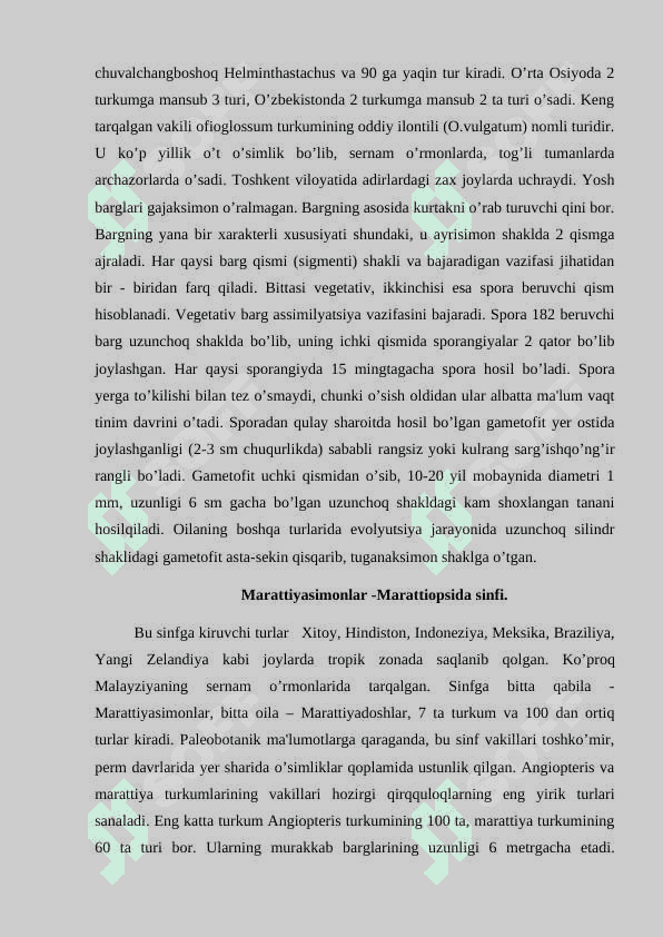 Qirqquloqtoifa- Polypodiophyta o’simliklar 4