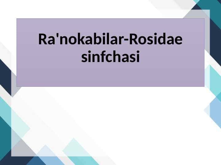 Ra'nokabilar 1