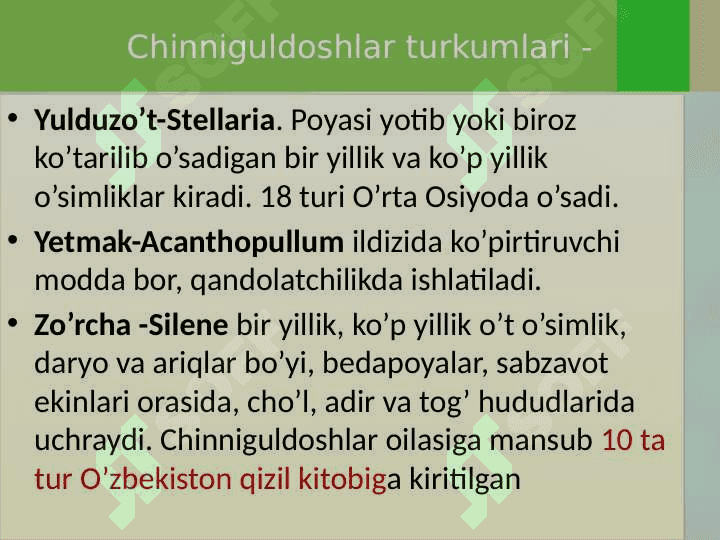 Chinnigulkabilar sinfchasi - Caryophyllidae 6