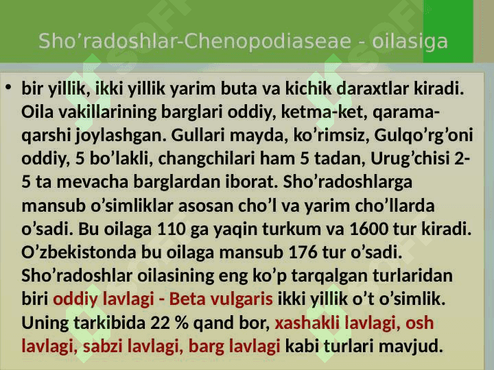 Chinnigulkabilar sinfchasi - Caryophyllidae 7