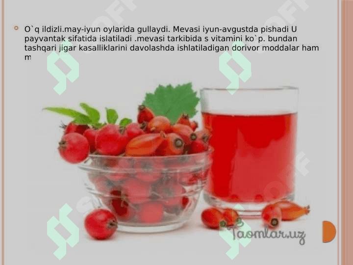 RA’NOGULDOSHLAR OILASI 4