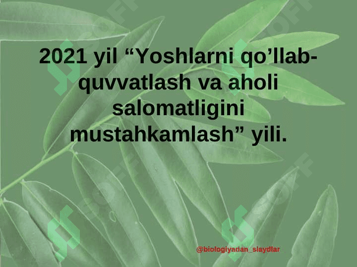 Hujayraning oziqlanishi 2