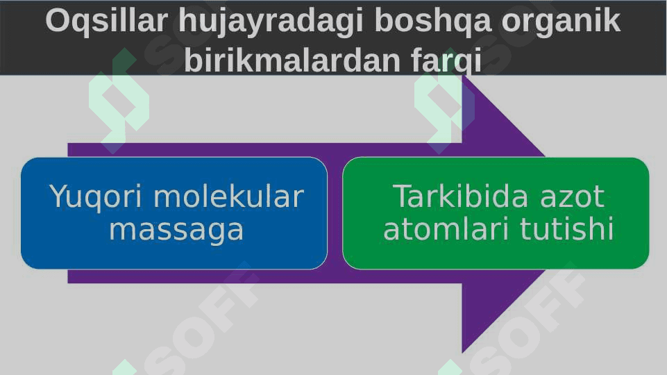 Oqsillar. Aminokislotalar 4