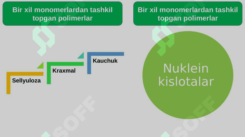 Oqsillar. Aminokislotalar 7