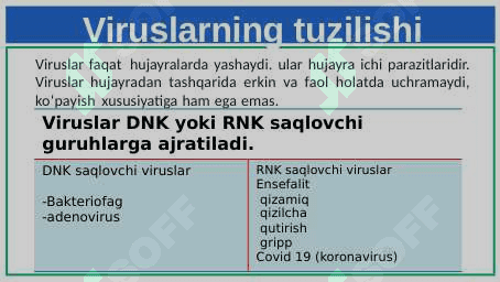 Hayotning hujayrasiz shakllari. Viruslar 4