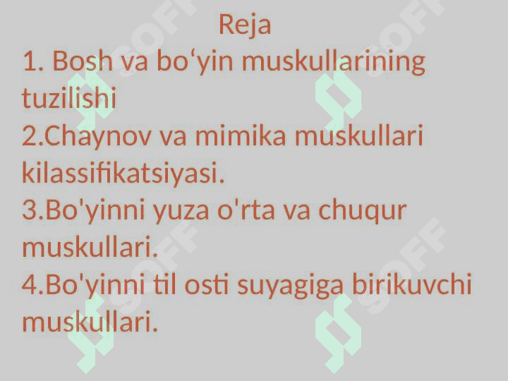 Bosh va boʻyin muskullari 2