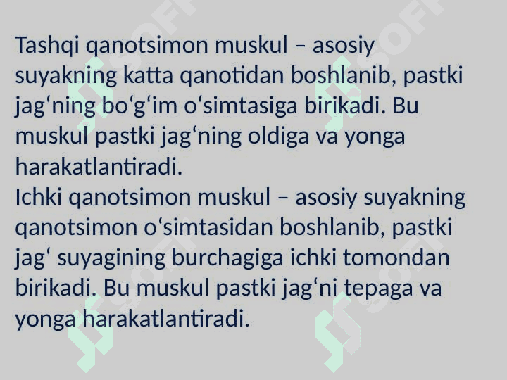 Bosh va boʻyin muskullari 6