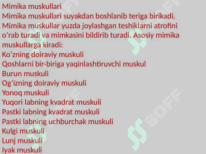 Bosh va boʻyin muskullari 8